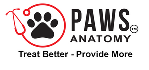 Paws Anatomy